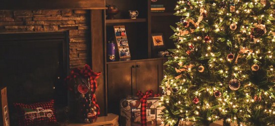 O ponto central da decoração de final de ano: a árvore de Natal.